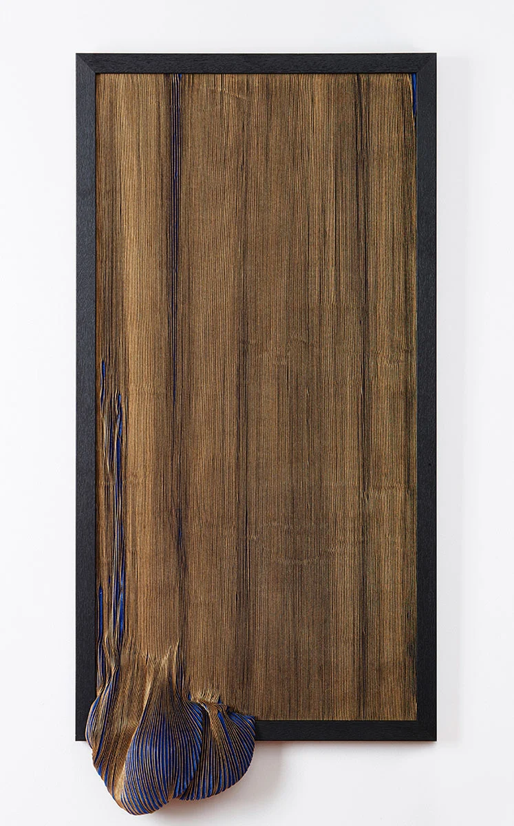 Stevie Fieldsend Mira Mira 25 (ACHK)