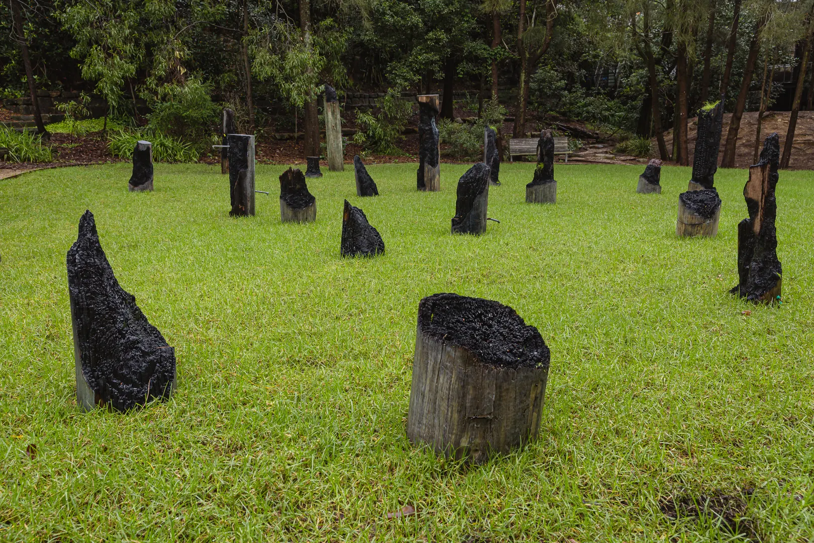 Stillonce-trees-steviefieldend-1