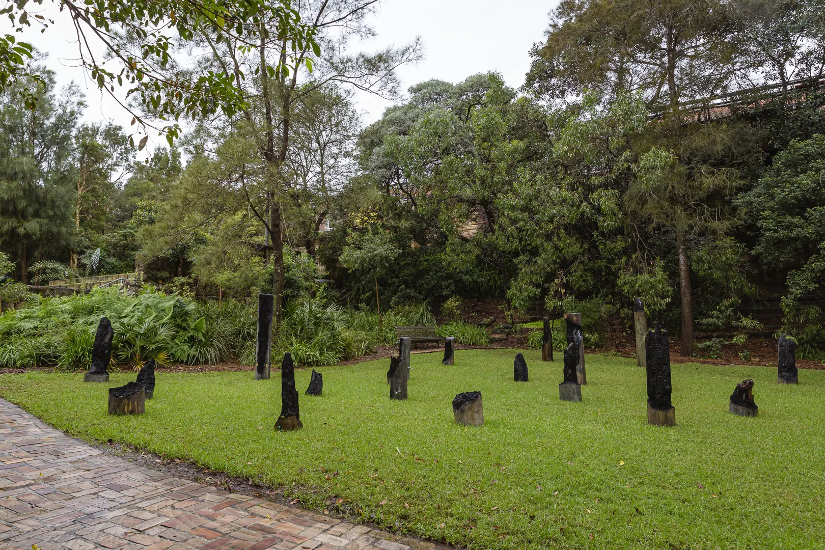 Stillonce-trees.stevie-Fieldsend