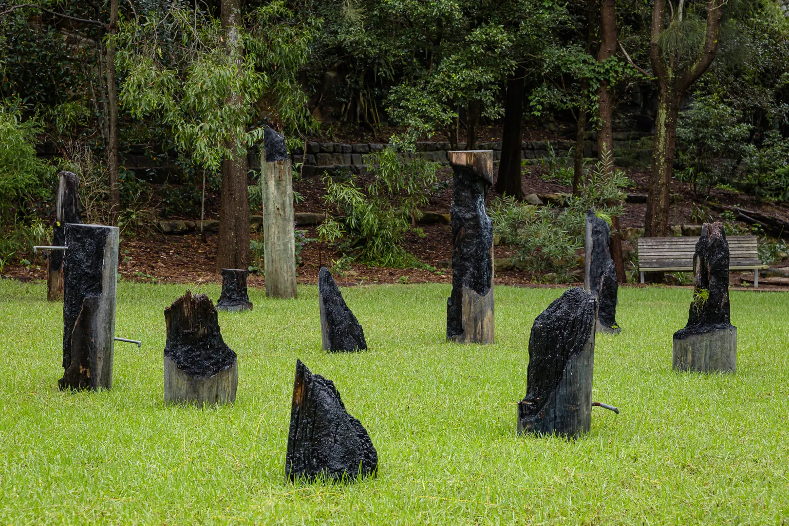 Stillonce-treesa-Steviefieldsend