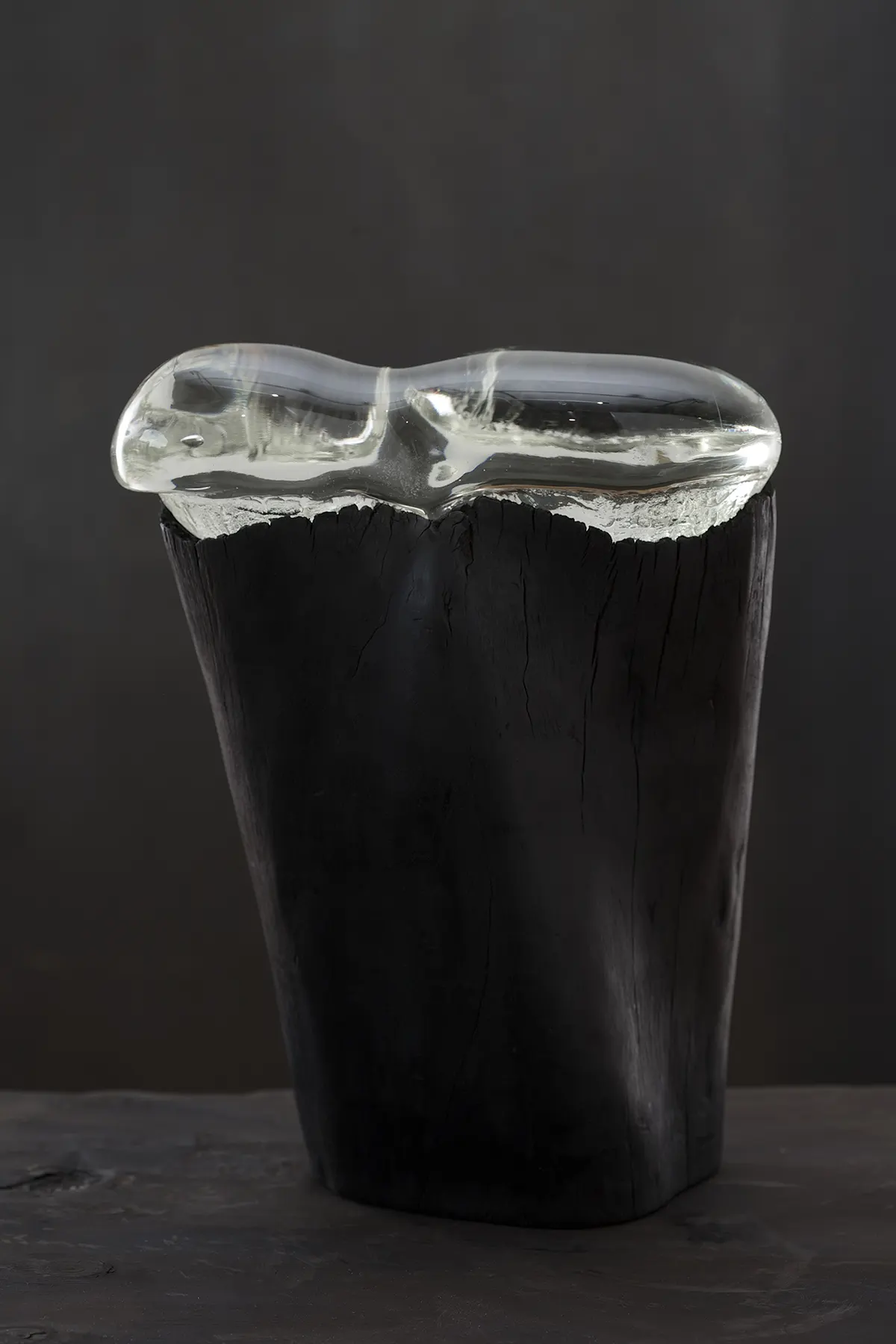 stevie_20120430_0402