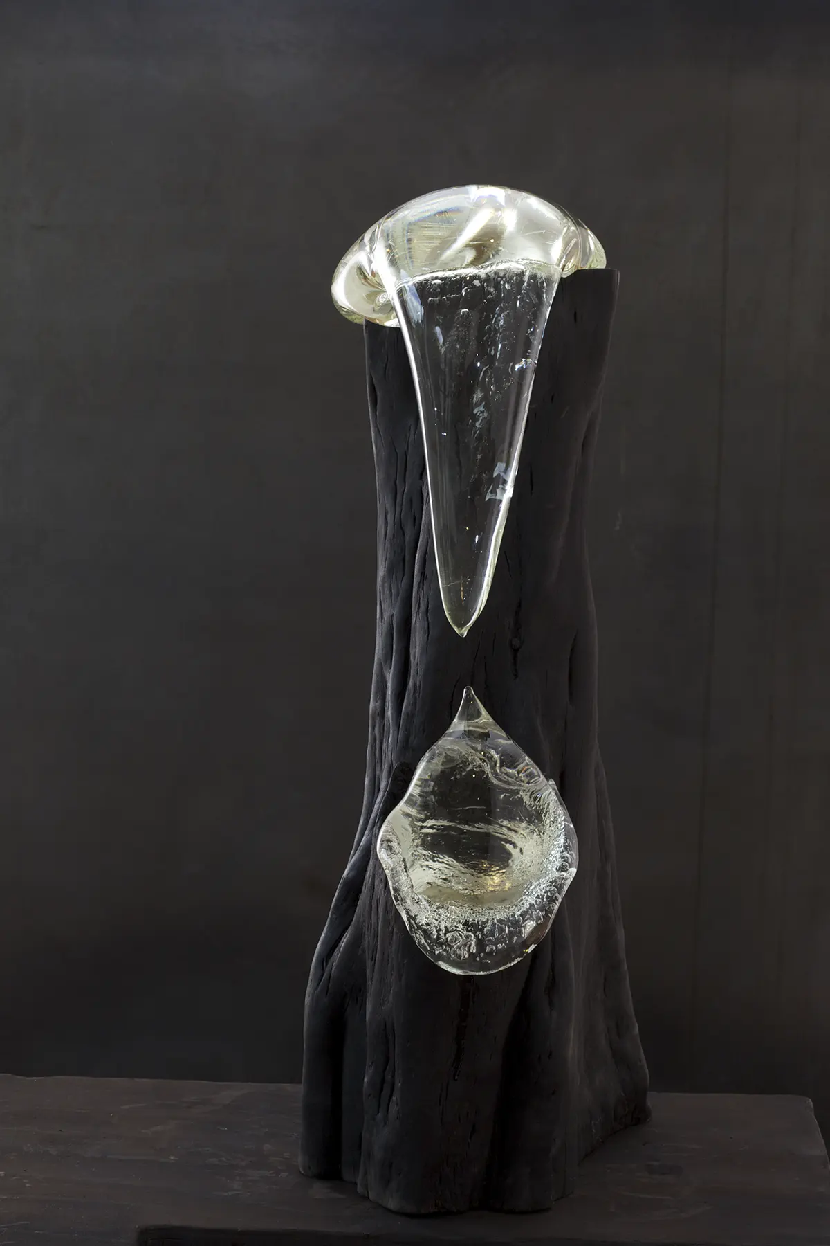 stevie_Solve-et-Coagula-@-Artereal-Gallery.-2013-image-Ian-Hobbs.20120430_0480