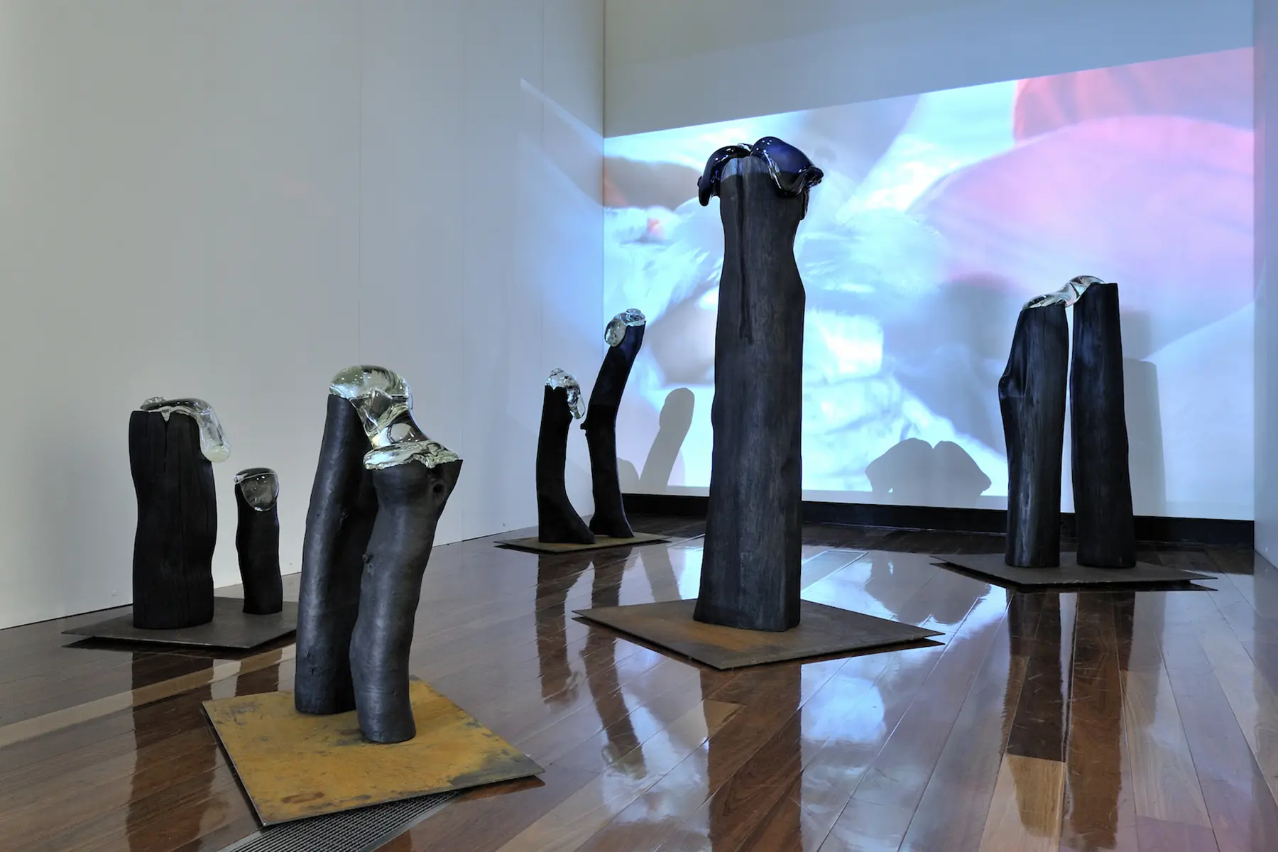 Coconut Water / 2015