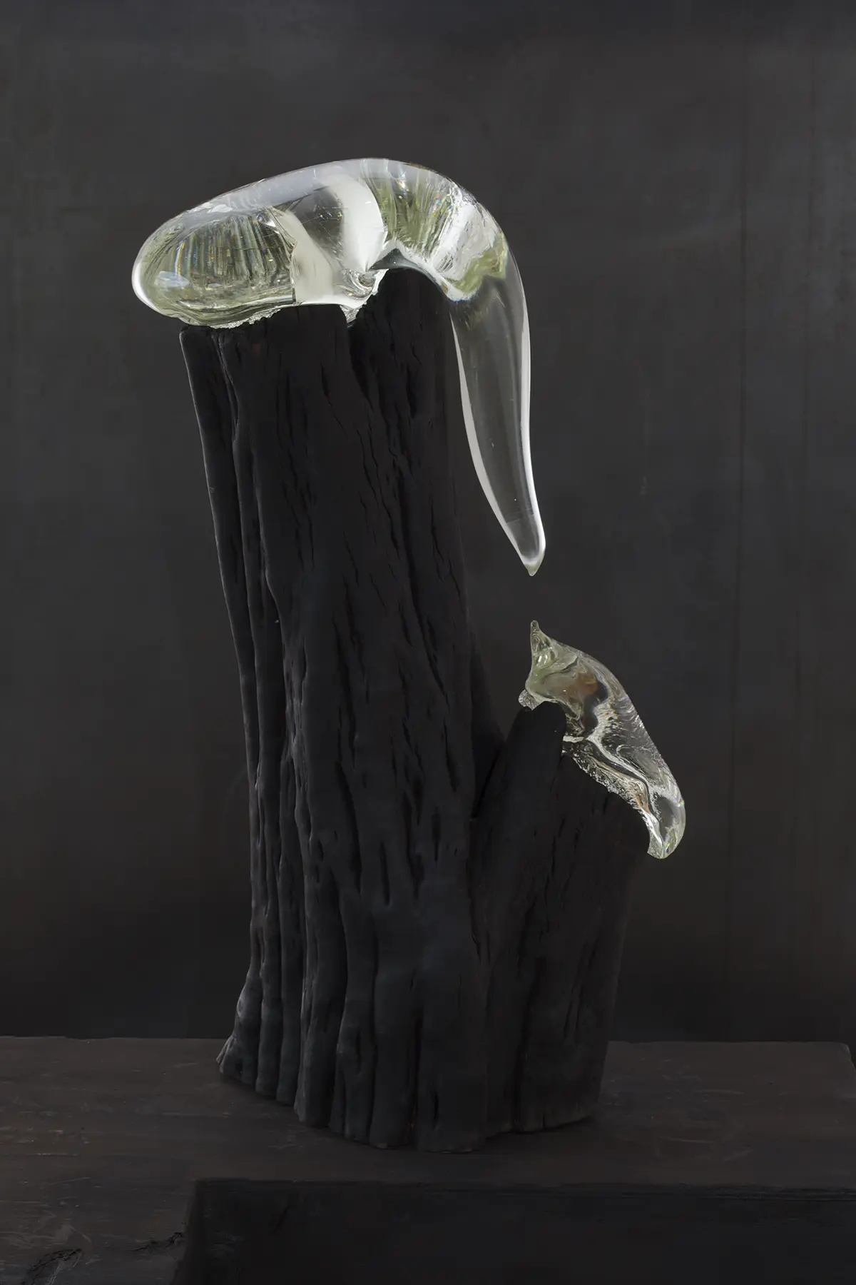 Fieldsend_Stevie_Solve-et-Coagula3