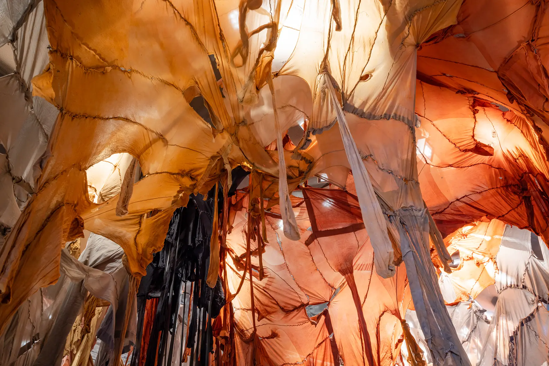 MosmanArtGallery_190722_credit_JacquieManning-20