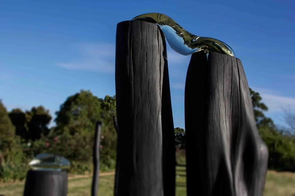 Stevie Fieldsend, Winner of Rookwood HIDDEN  2013  