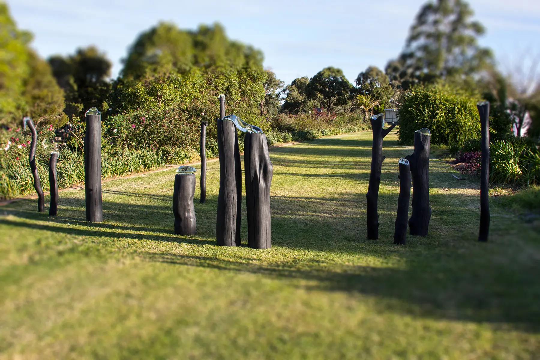 Rookwood HIDDEN / winner / 2013