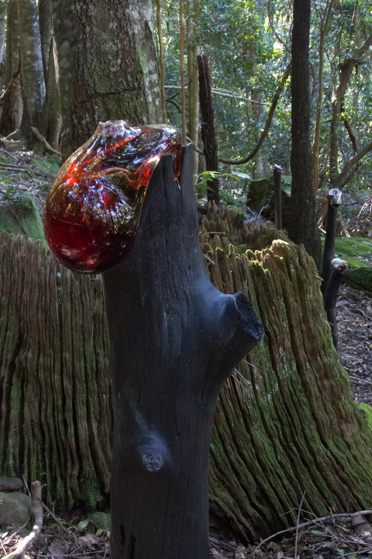 Stevie_Fieldsend.-Bulging-Ichorous.-Sculpture@scenic.-2015.-Image-Cornel-Robinson.1