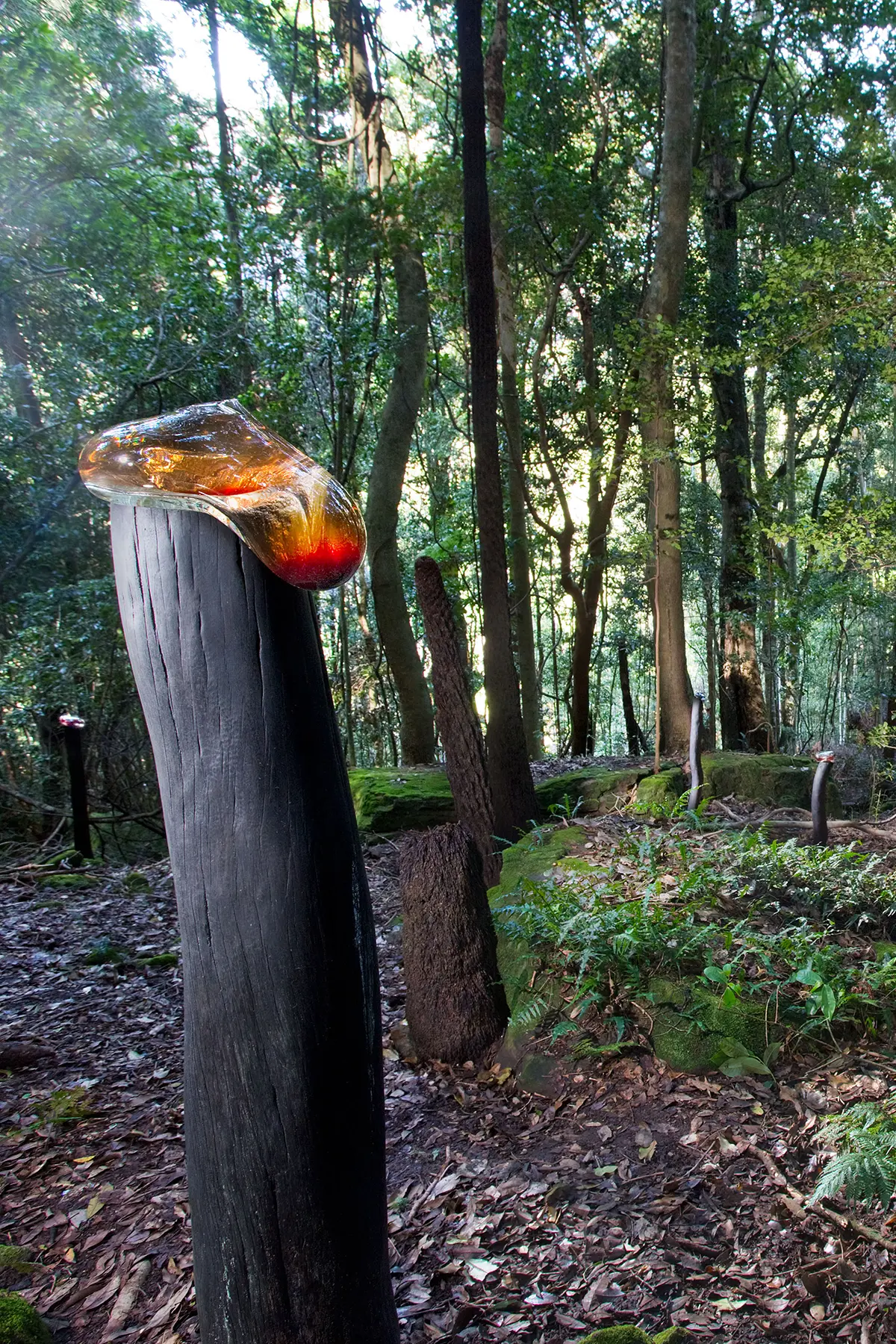 Stevie_Fieldsend.-Bulging-Ichorous.-Sculpture@scenic.-2015.-Image-Keith-Maxwell-