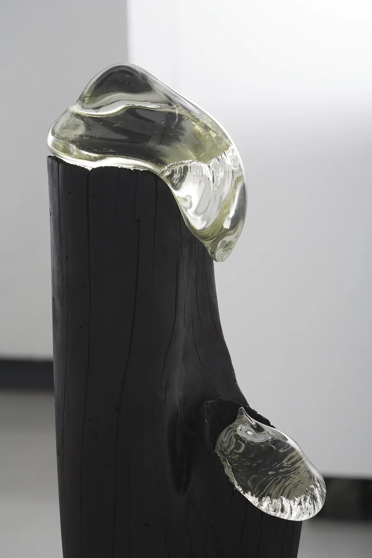 scaGRADSHOW_2010-266